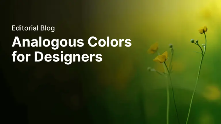 Analogous colors for designers | Linearity Curve (formerly Vectornator)