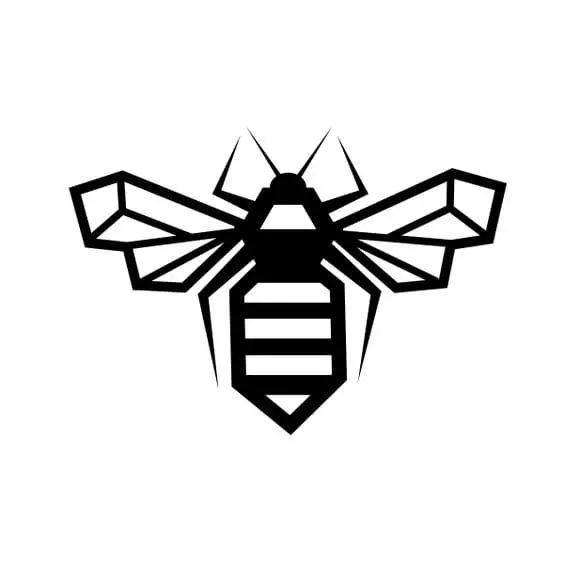 vector image of a bee