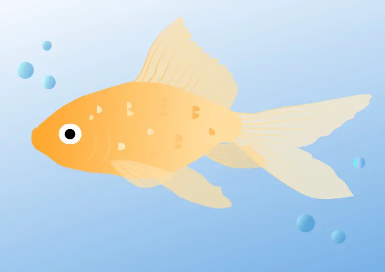 fish drawing with Vector art