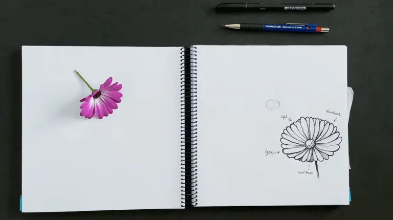 How to draw a flower with vectornator sketch of flower on notbook